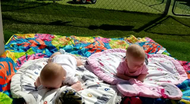 whatsapp video 2023-04-12 at 12.14.54 pm (1).mp4