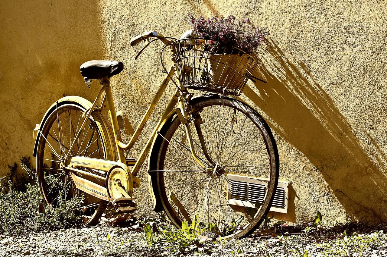 A vintage bicycle with a flower basket leans against a sunlit yellow wall, exuding nostalgic charm.
