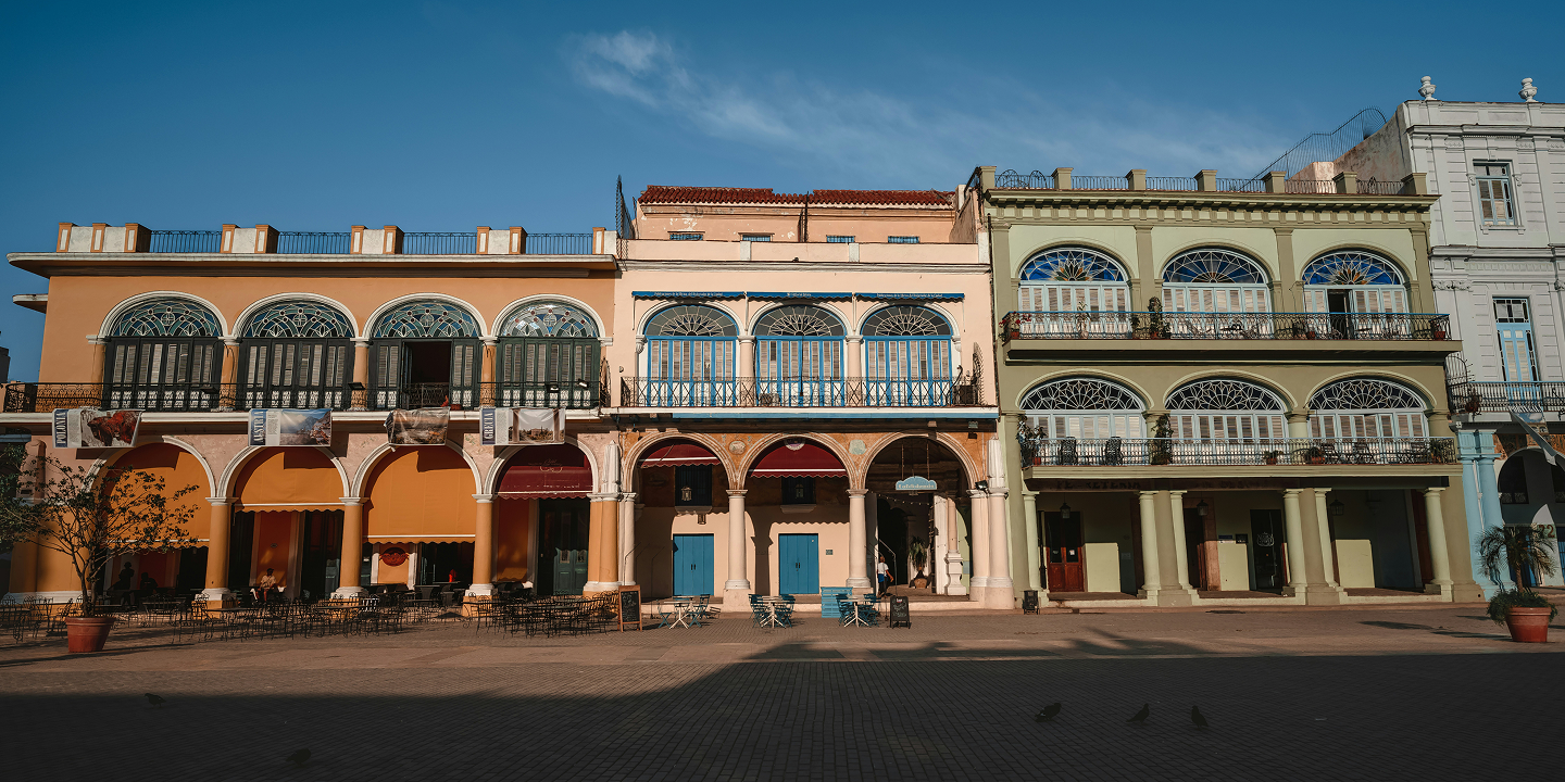 rectangle 10 (3).png