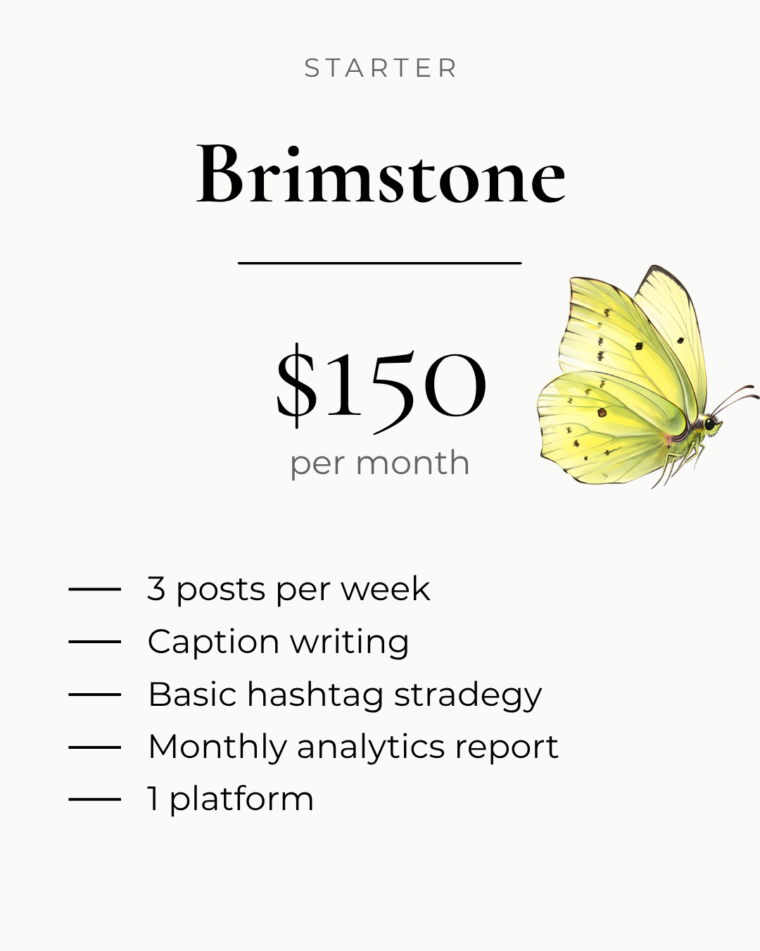 Social media showcase