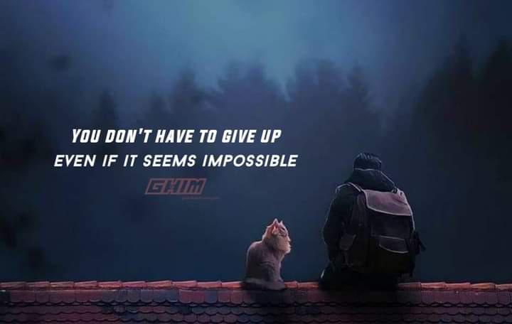 1000078508.jpg