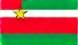 Suriname flag