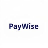 PayWise payment platform logo