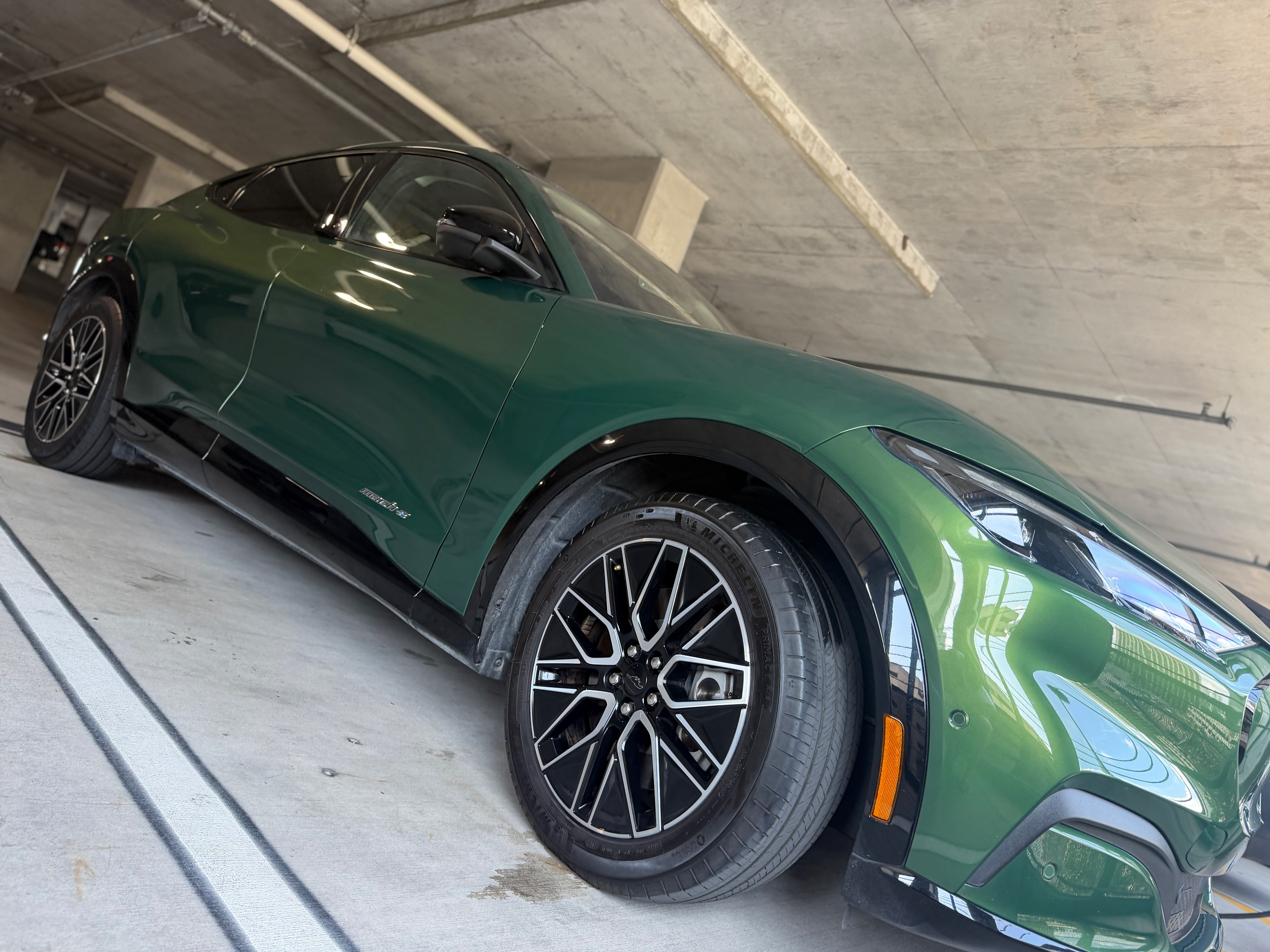 Ceramic coating service on Weber green car