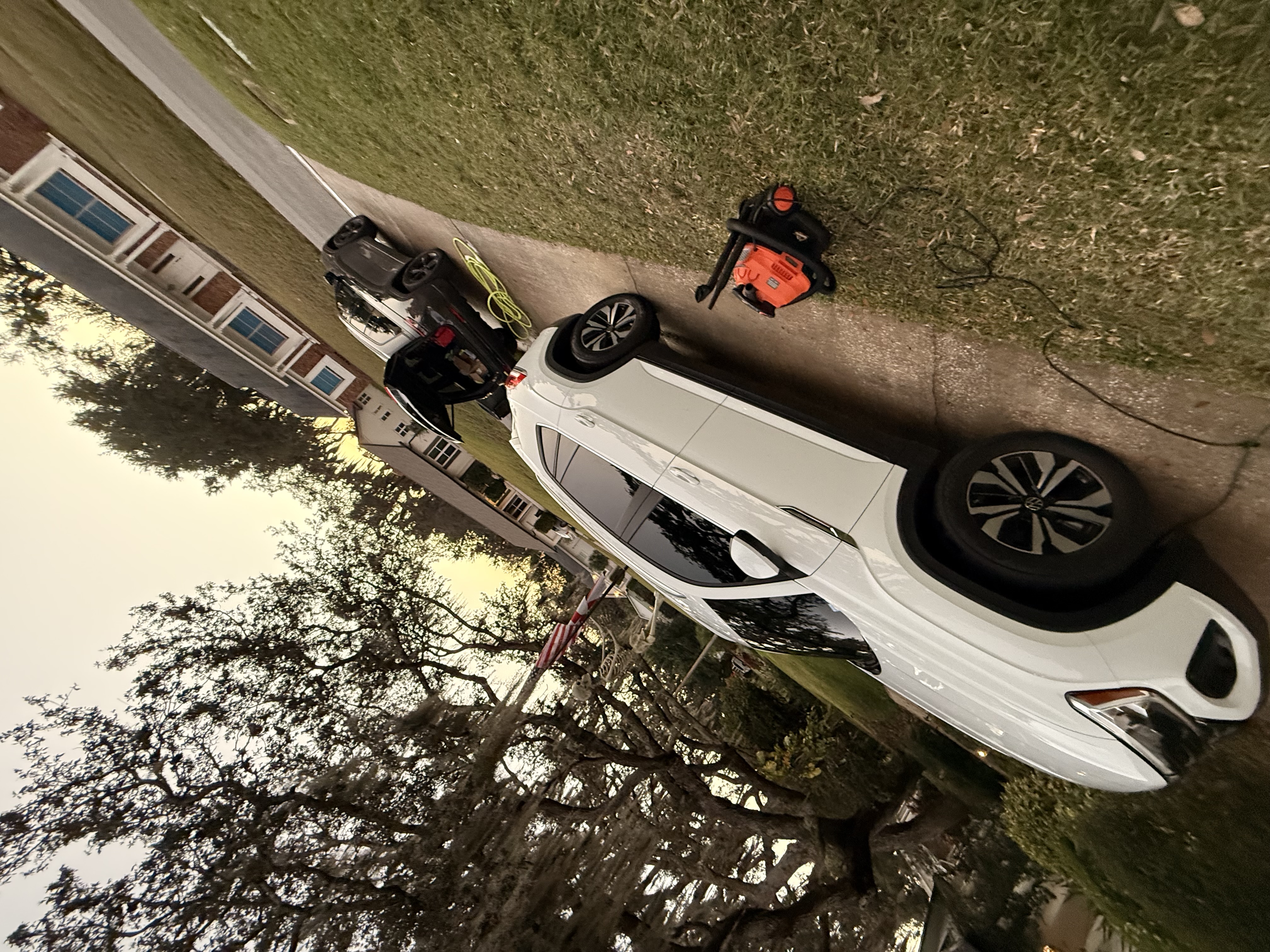 Professional auto detailing