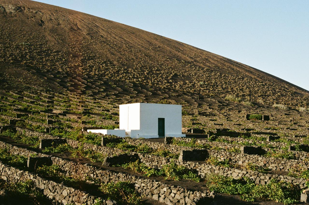Residue X