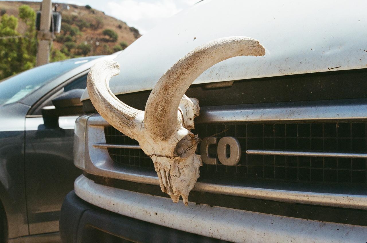 Remains of the Road XXII