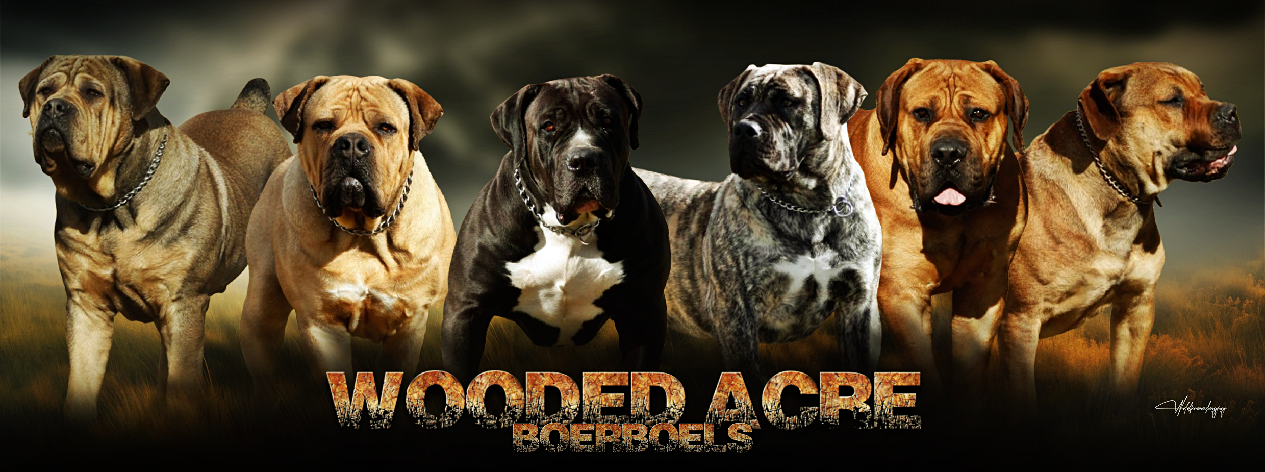 poster_fb_size-1742577267006.png