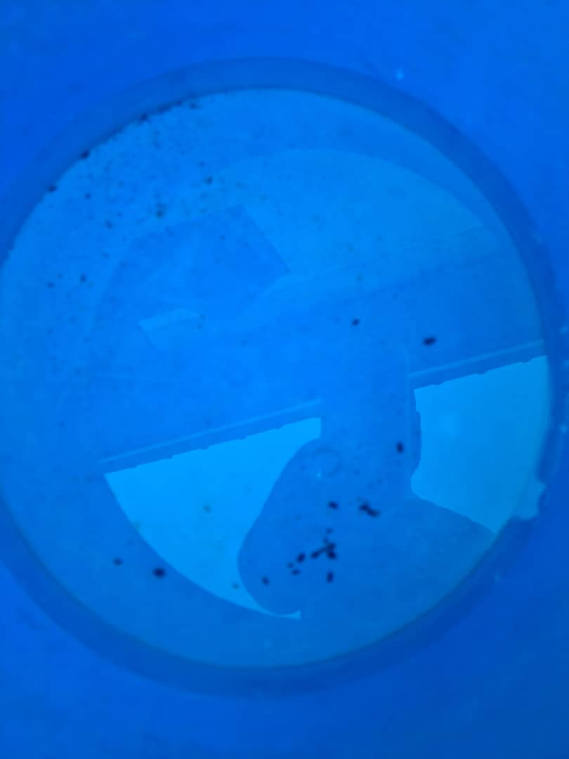 Water