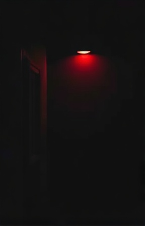 The Silent Witness