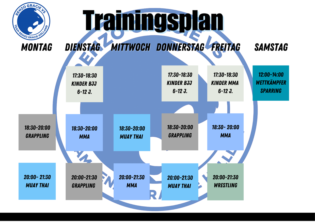 trainingsplan richitig.png