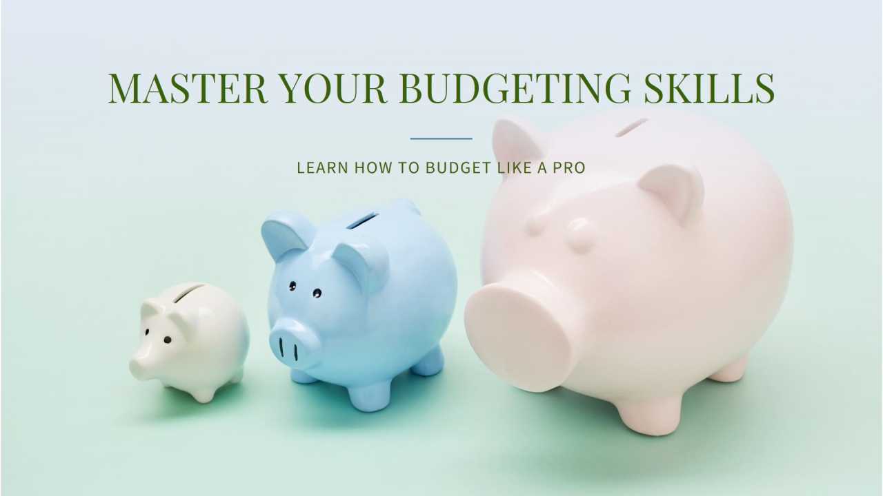 budget_skills.png
