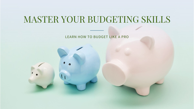 budget_skills.png
