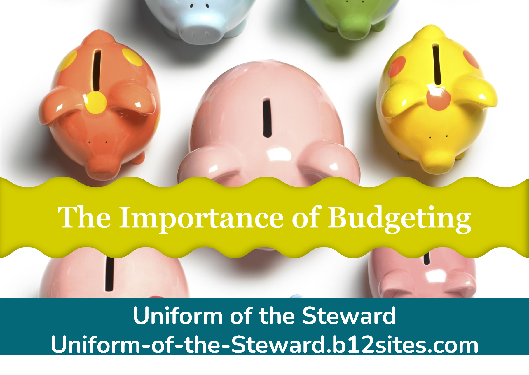 stewardship saturday.png