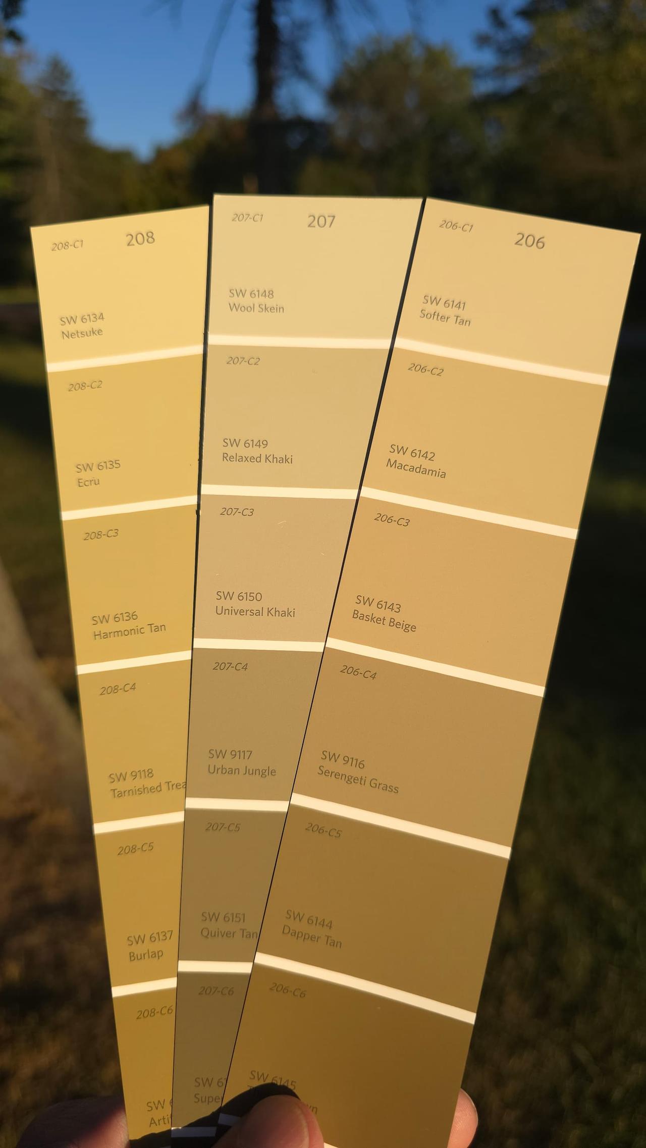 sherwin-williams-color-of-the-year-2026-universal-khaki.jpg