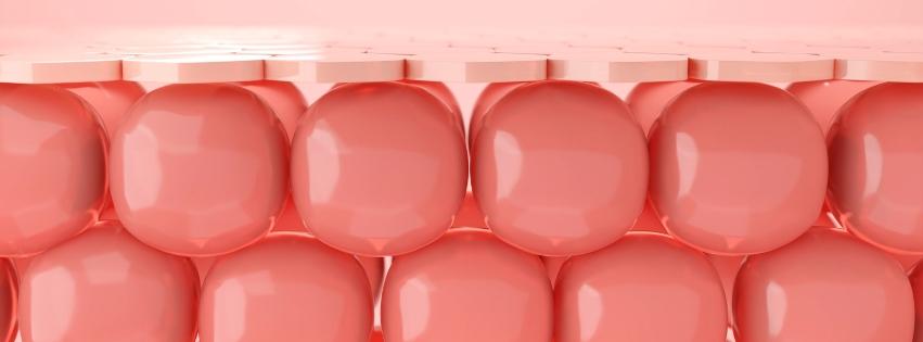 blog illustrations ((narrow) (2).jpg