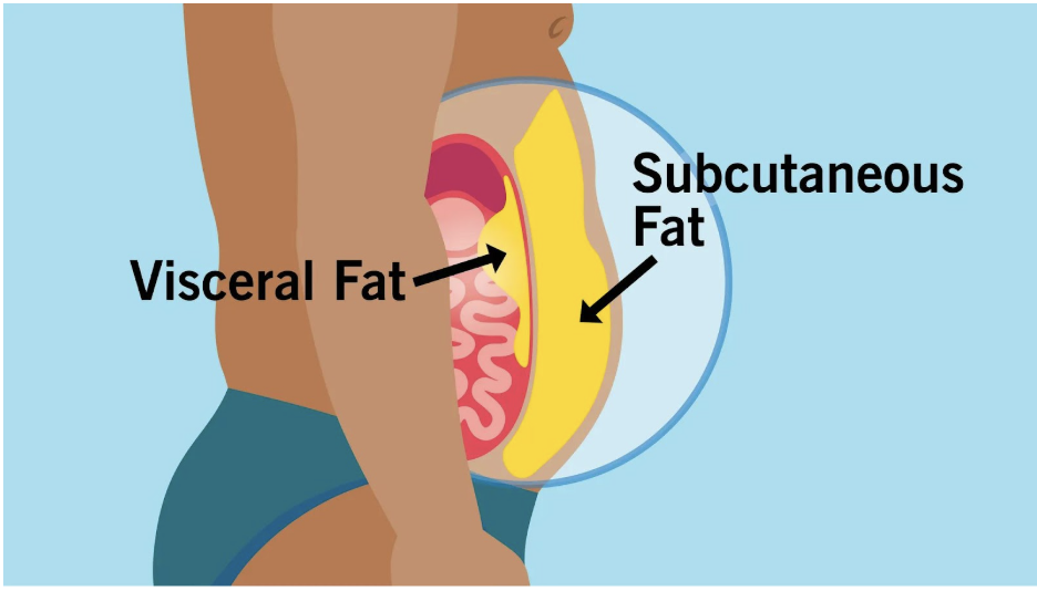 screenshot 2026-02-12 at 8.32.41 pm.png