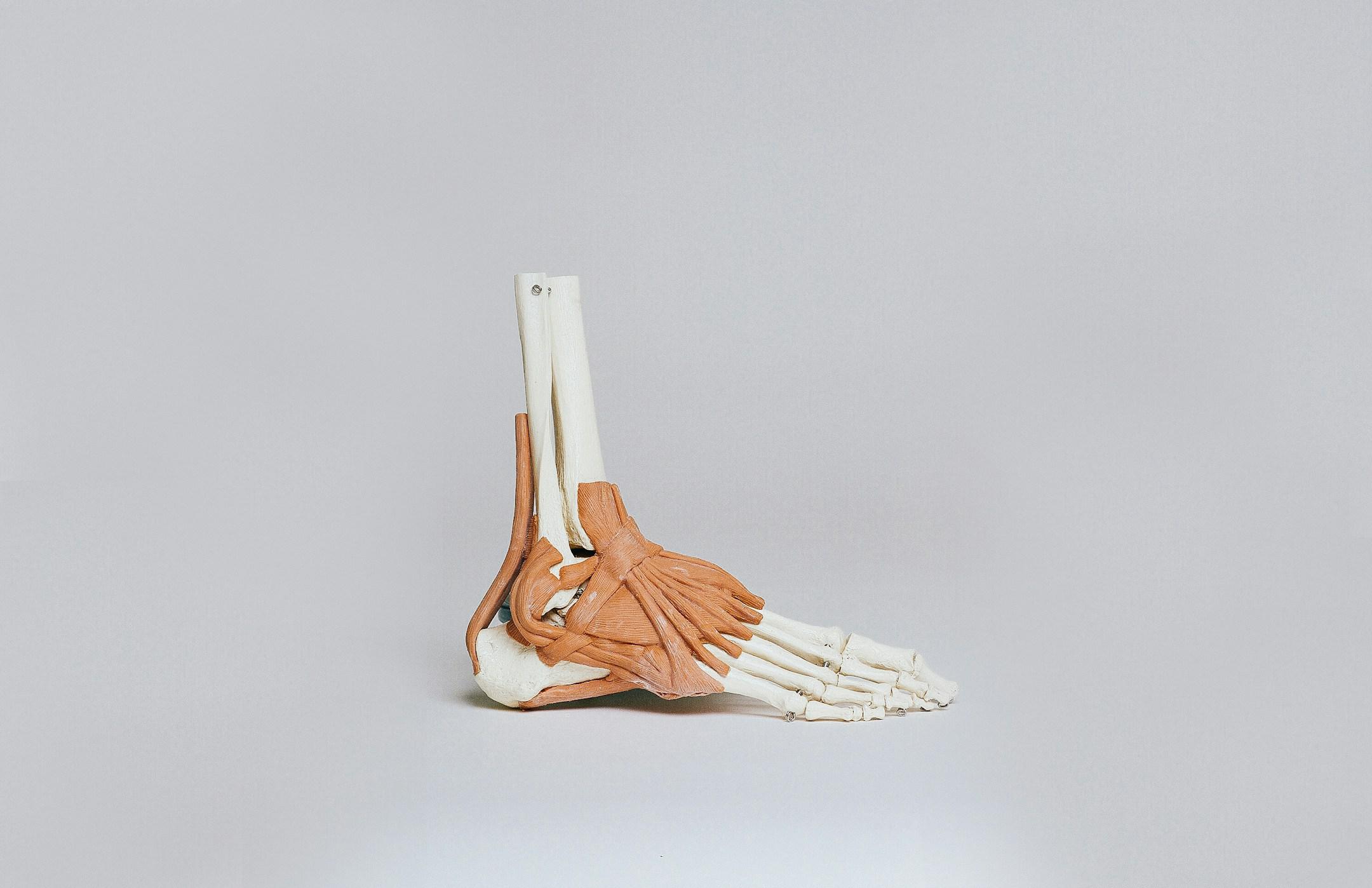 New Jersey orthopedic surgeon Selene Parekh has provided many total ankle replacements