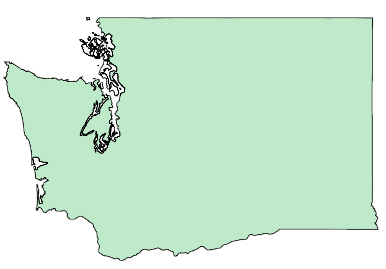 washington png.png