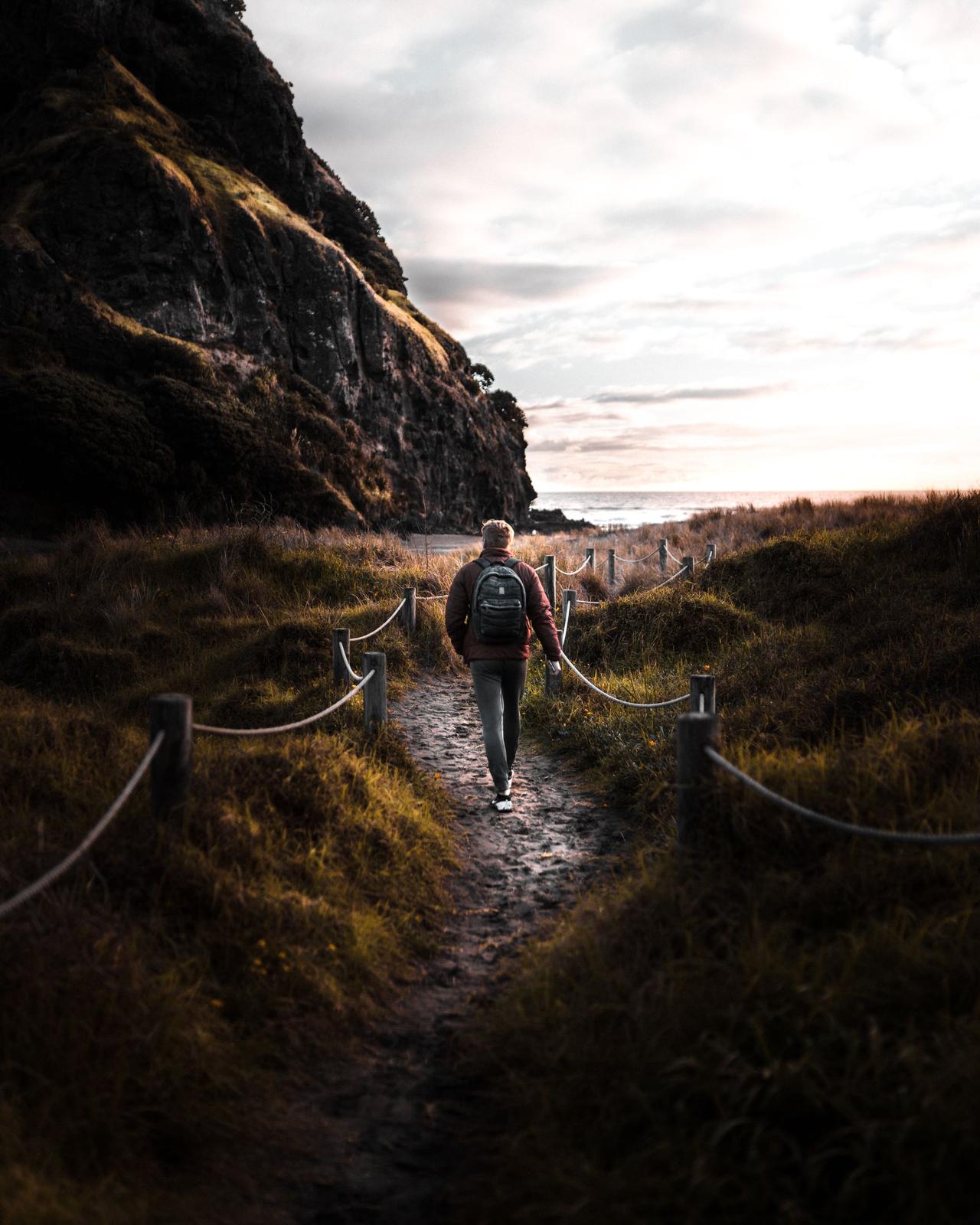 Man hiking a scenic path in New Zealand, perfect for adventure and travel themes.