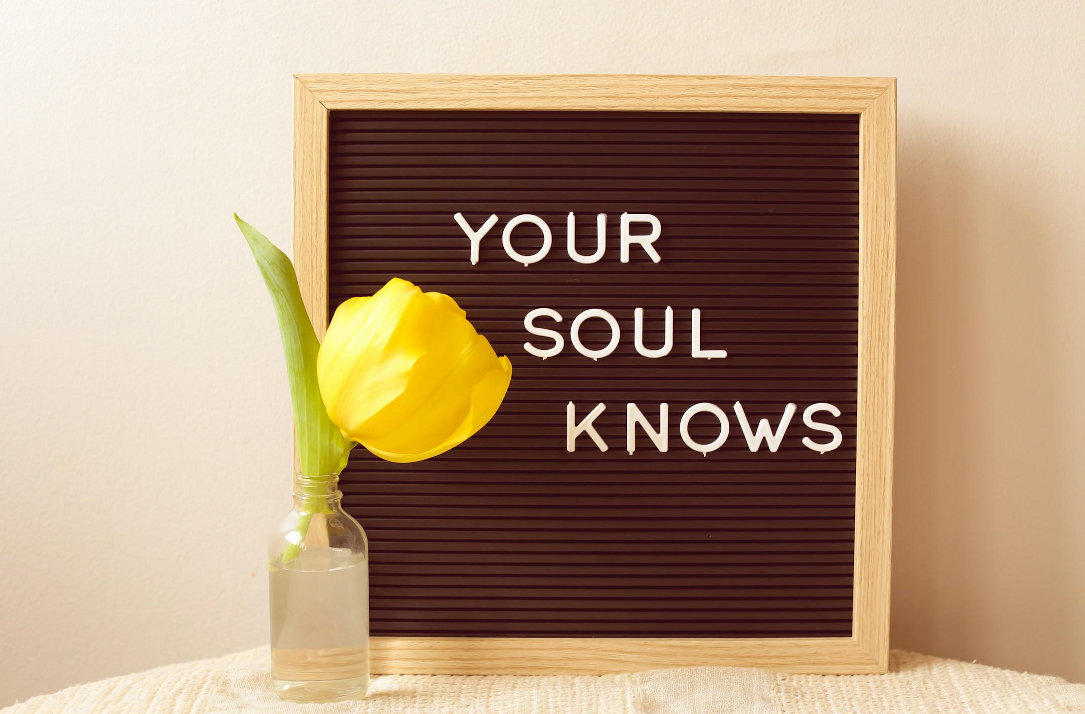 “I’m not like an ordinary world. I have my madness, I live in another dimension and I do not have time for things that have no soul.” - Bukowski