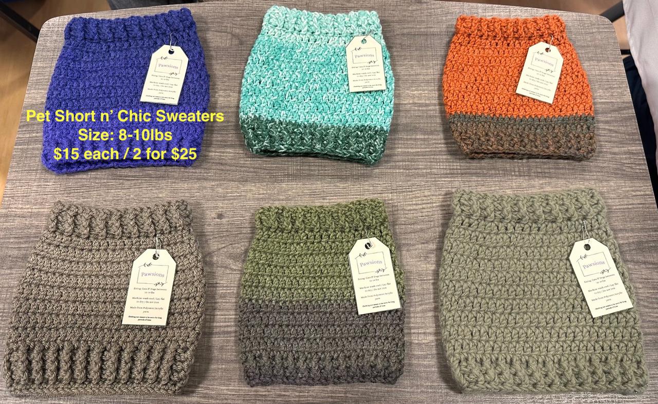 pet shortnchic sweater.jpg