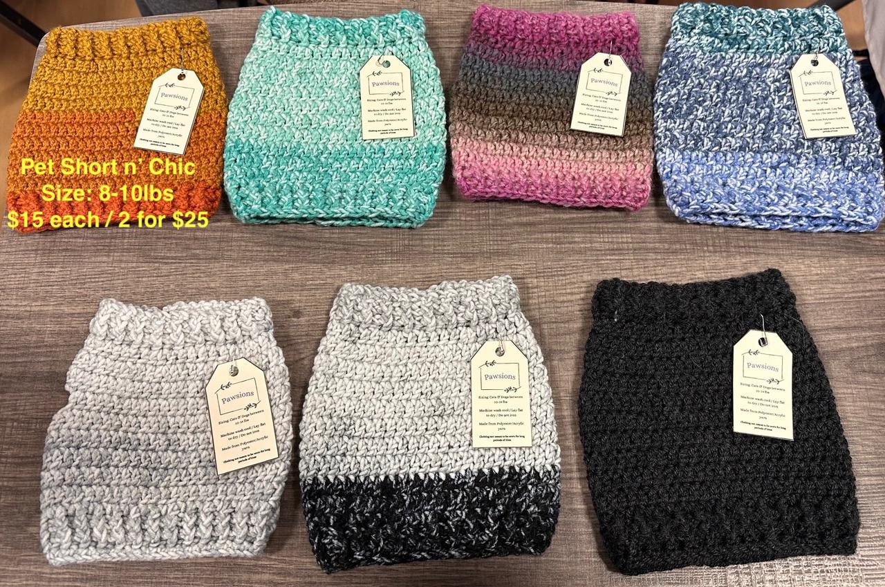 pet shortnchic sweater2.jpg