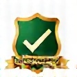 Licensed and insured protection badge icon