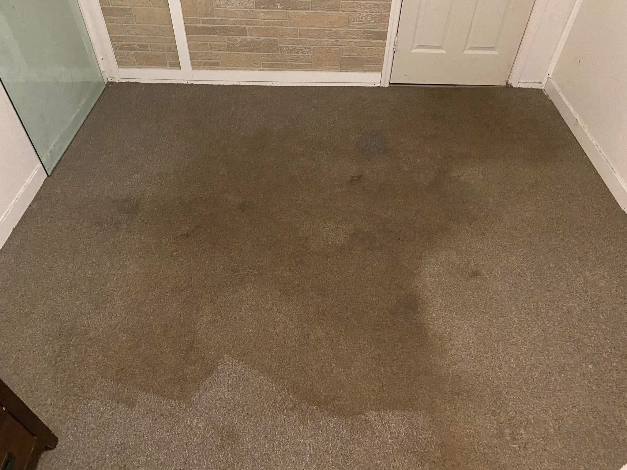Floor Transformation - clean baseboards and detailed floor edge work