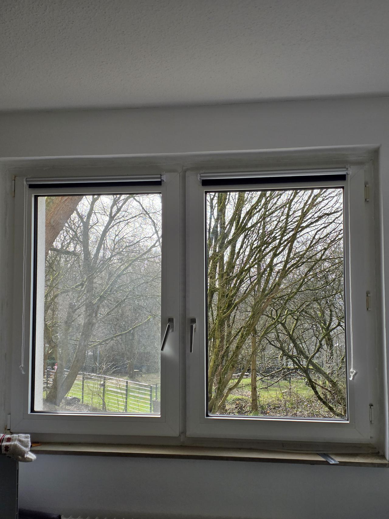 Fensterreinigung