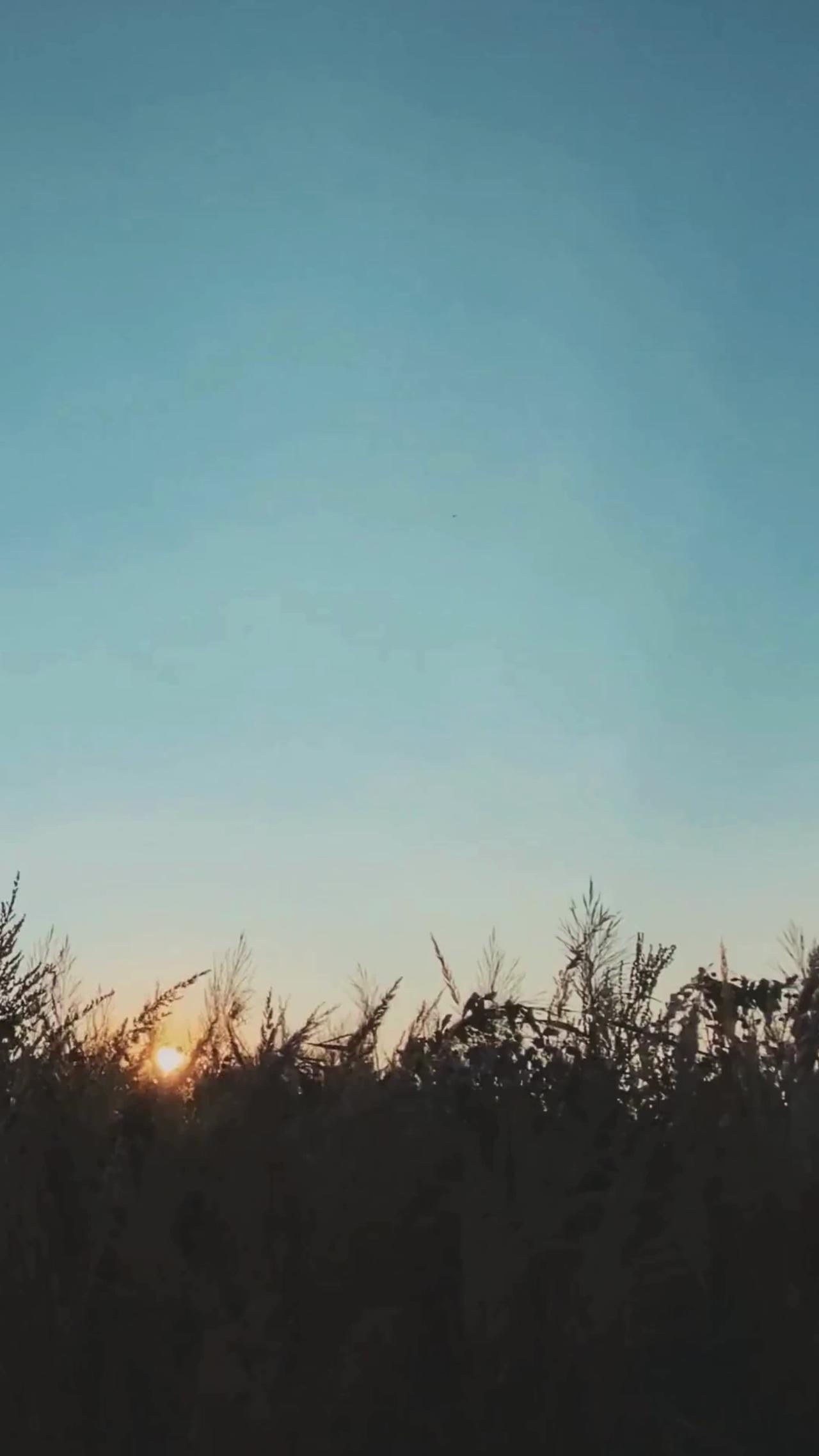 motivational travel instagram reels video.mp4