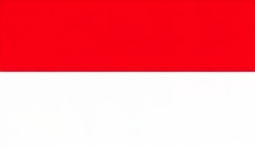 Vlag van Indonesië