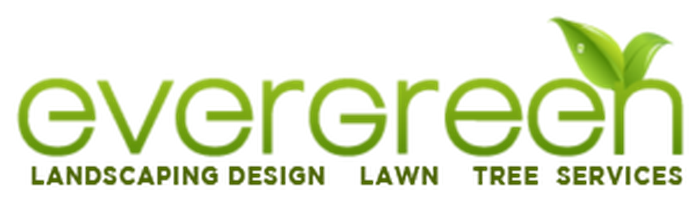 Orlando Evergreen Landscaping logo