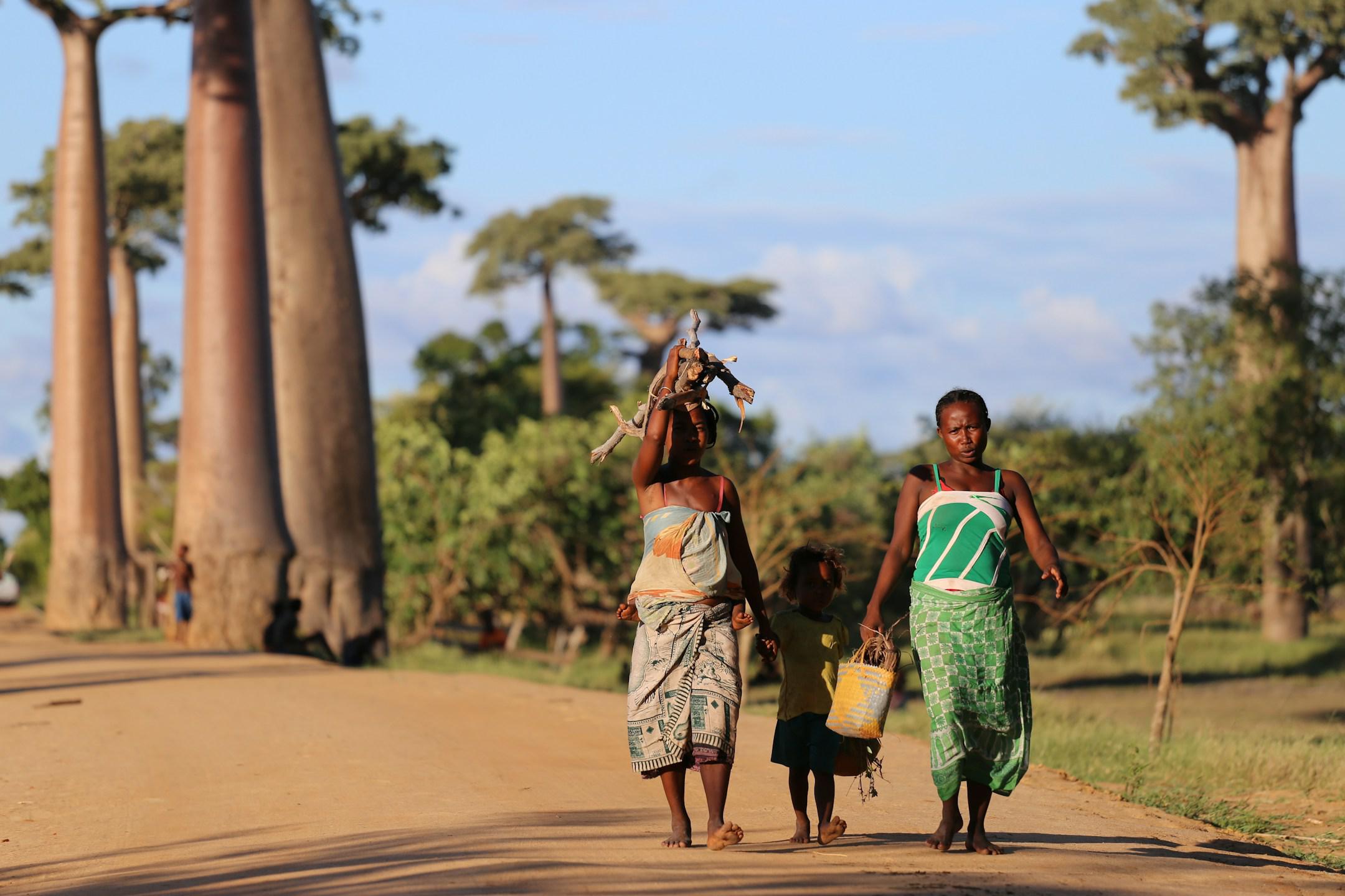 Our mini Madagascar photo story: https://www.flickr.com/photos/143079681@N02/albums/72157670553166004/with/29560661642/