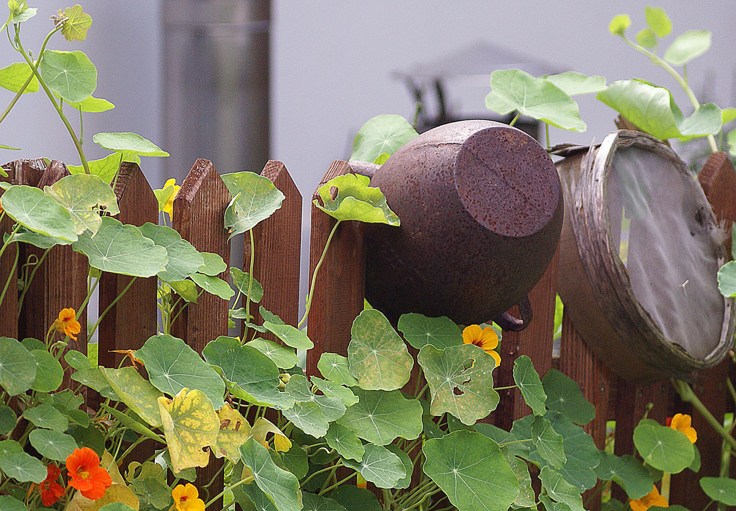 b3b46166-5776-11e7-8235-0242ac110002-pot-435909.jpg