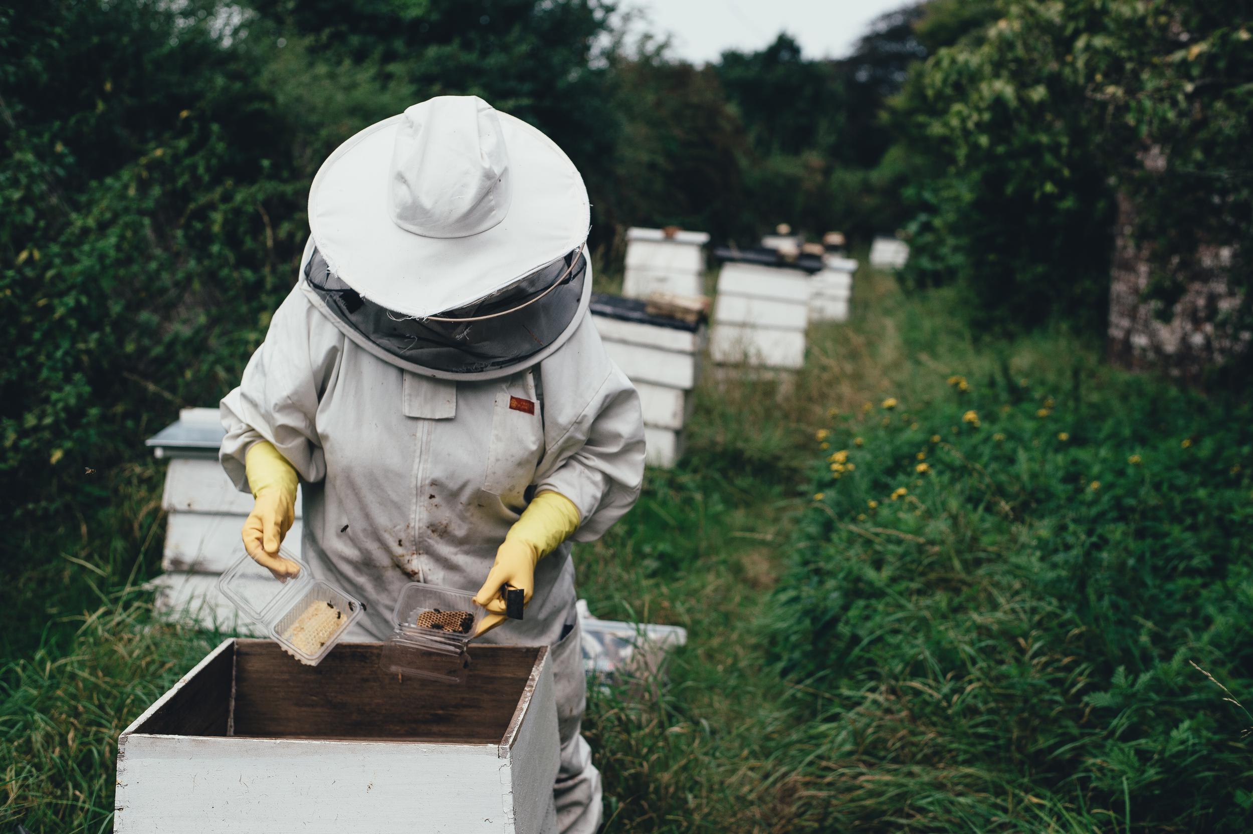 person wearing white sombrero with yellow gloves