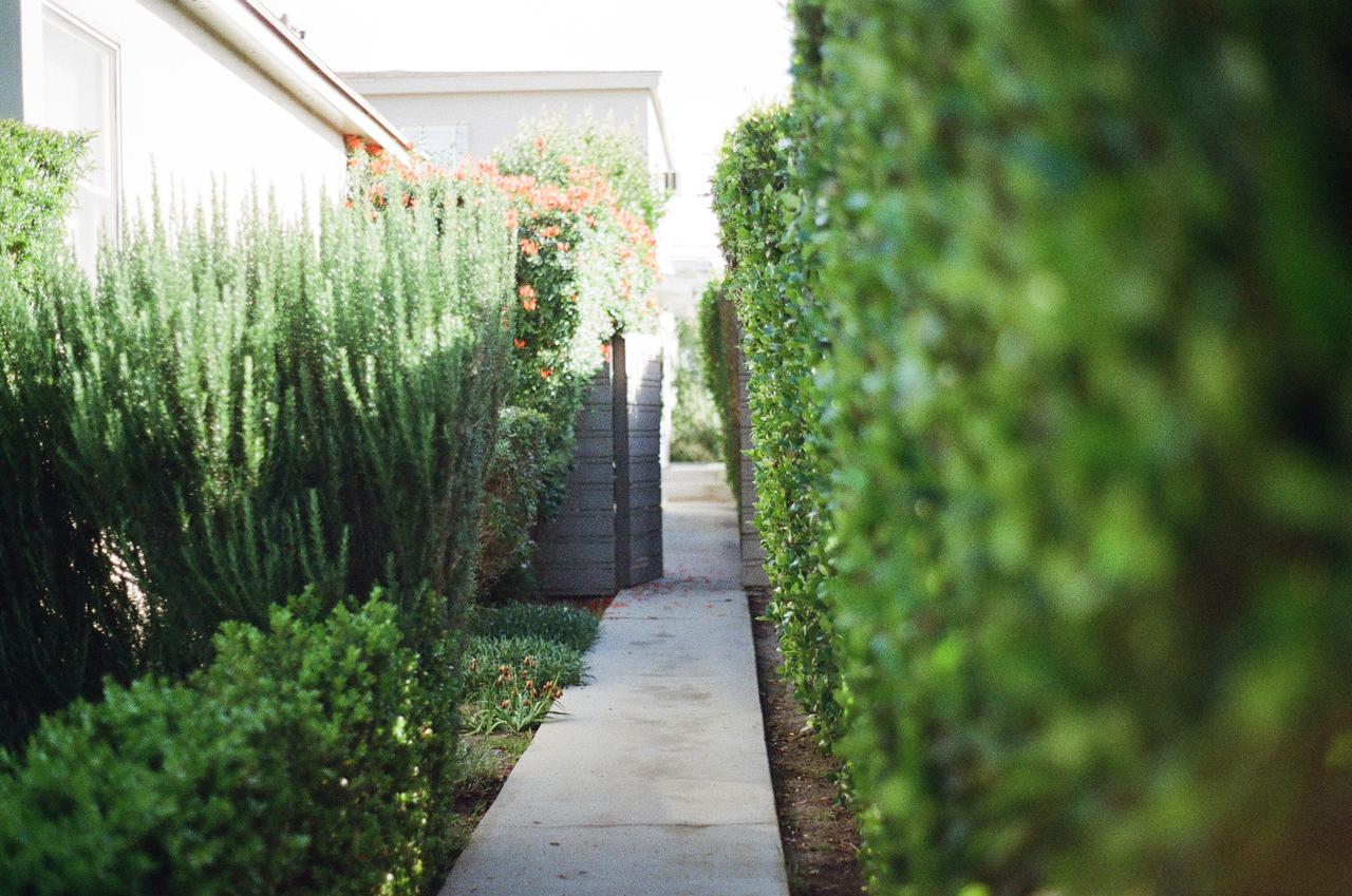 garden way