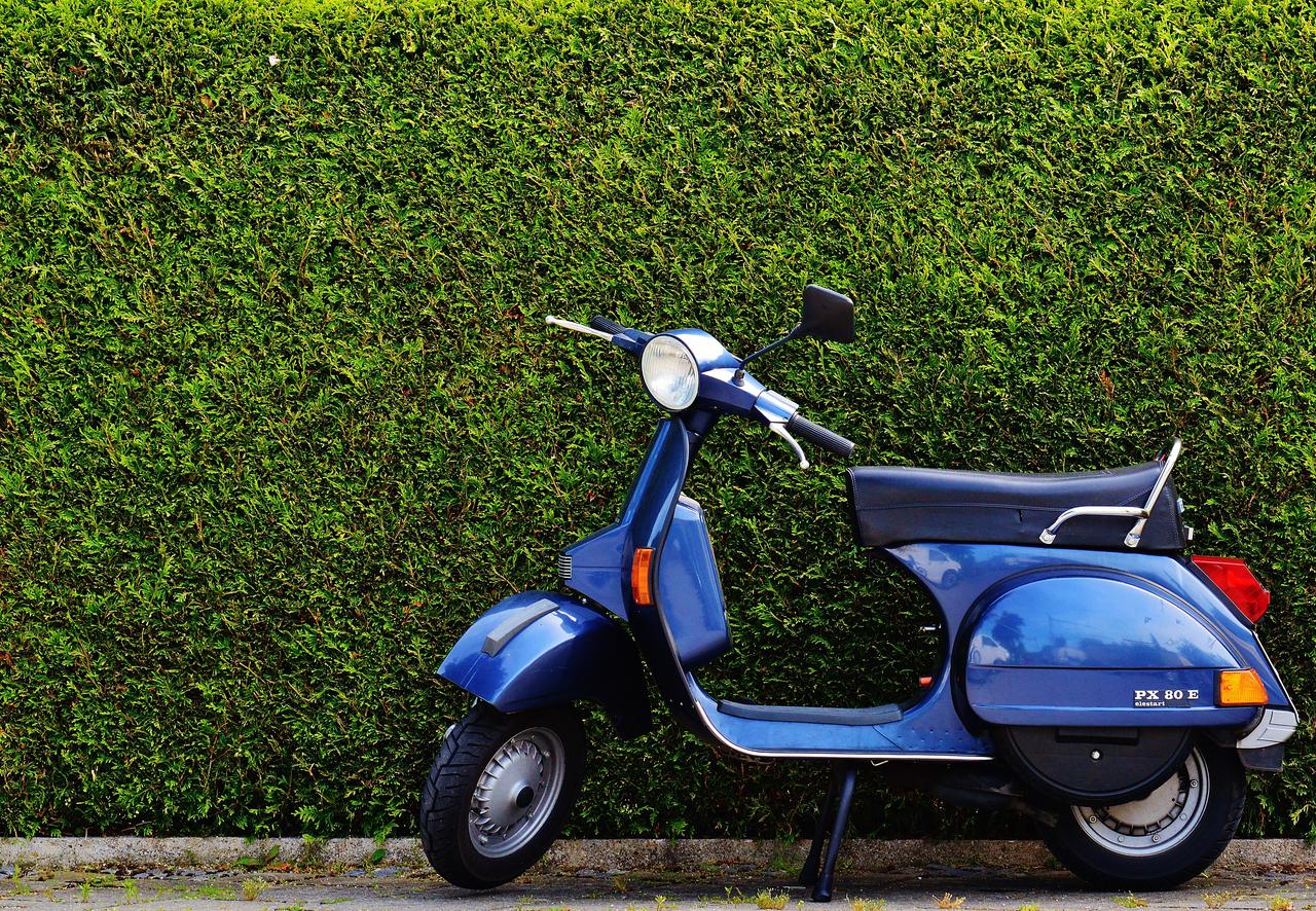 blue moped by green bush at roadside