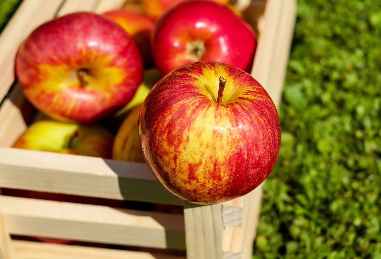 505947b6-155a-11e7-9e29-0242ac11000d.apple-red-fruit-ripe-144245.jpeg