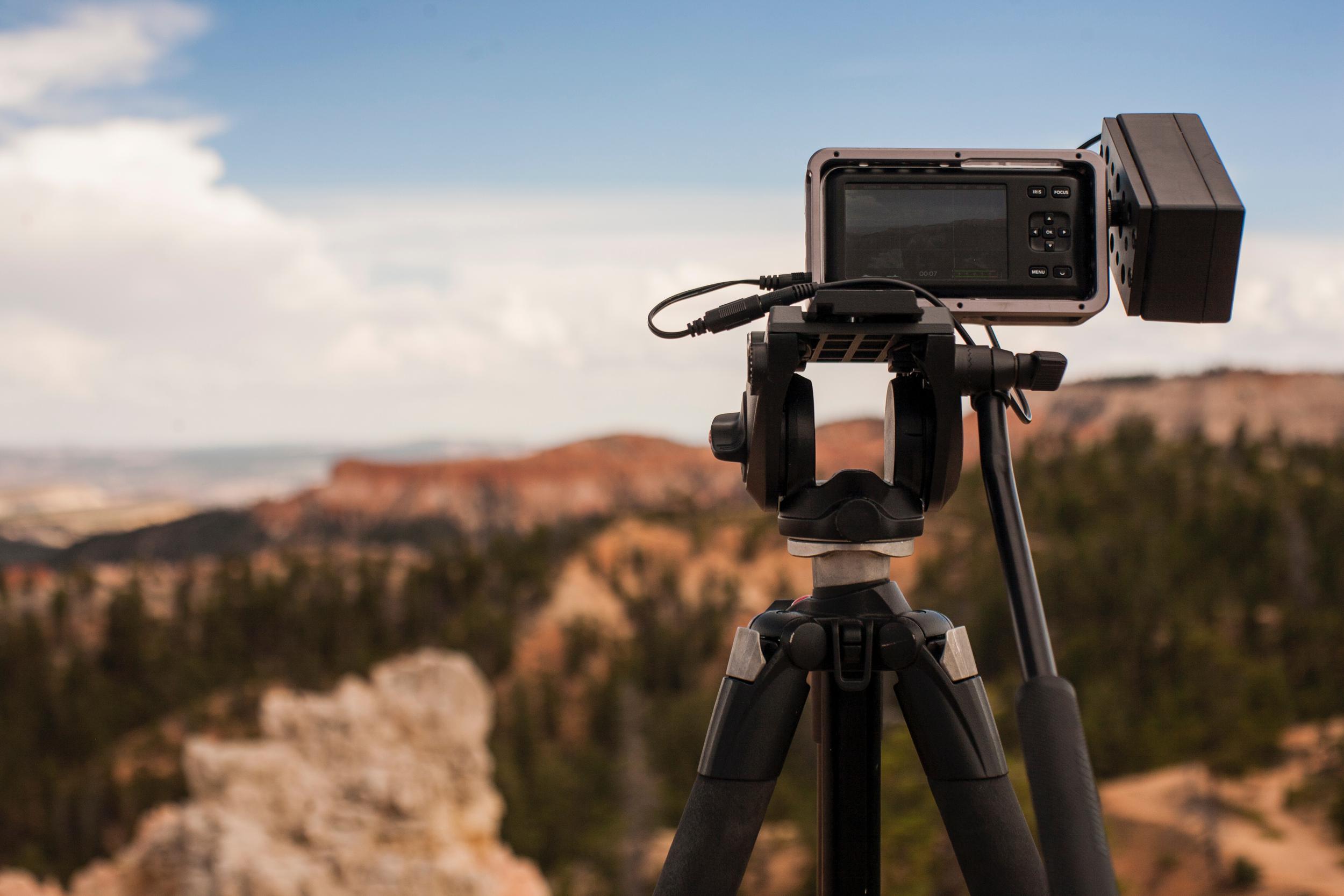 9ee5 a6a5 tyler quiring